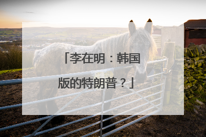 李在明：韩国版的特朗普？